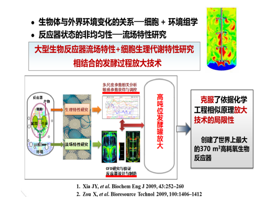 反應器流場特性與生理特性相結合的發酵過程放大原理與方法