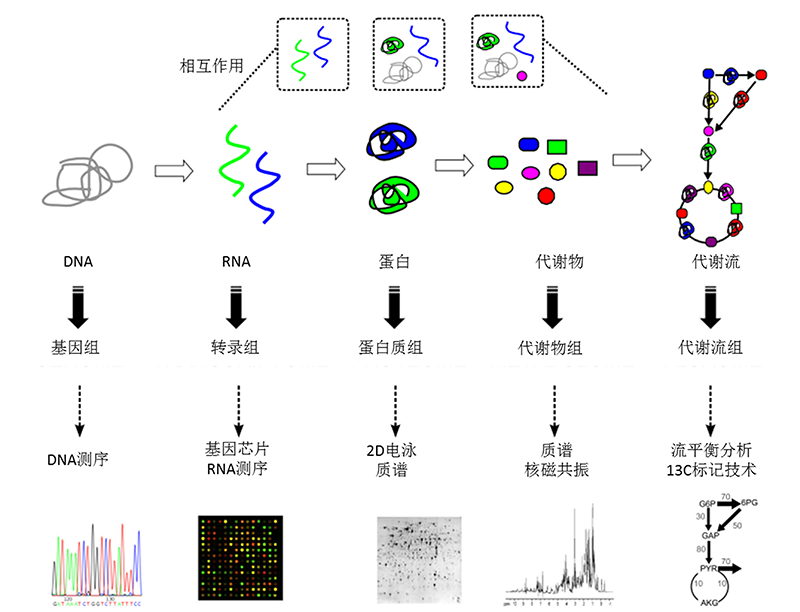 工業生物過程大數據縱向組學研究