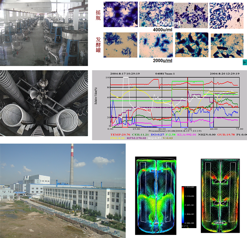 阿維菌素發酵控制