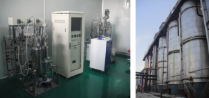 乳酸發酵過程優化