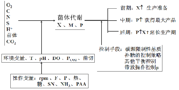 青霉素發酵過程優化控制