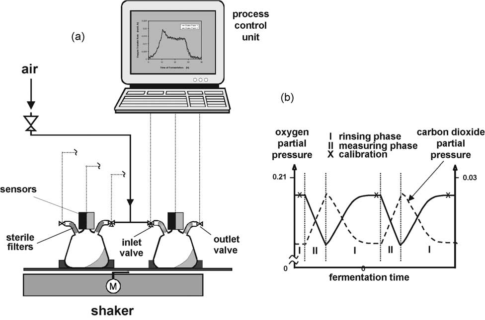 尾氣在線分析在發酵過程控制與優化中的應用研究——氧氣消耗速率、二氧化碳生成速率以及氧傳質系數的測量